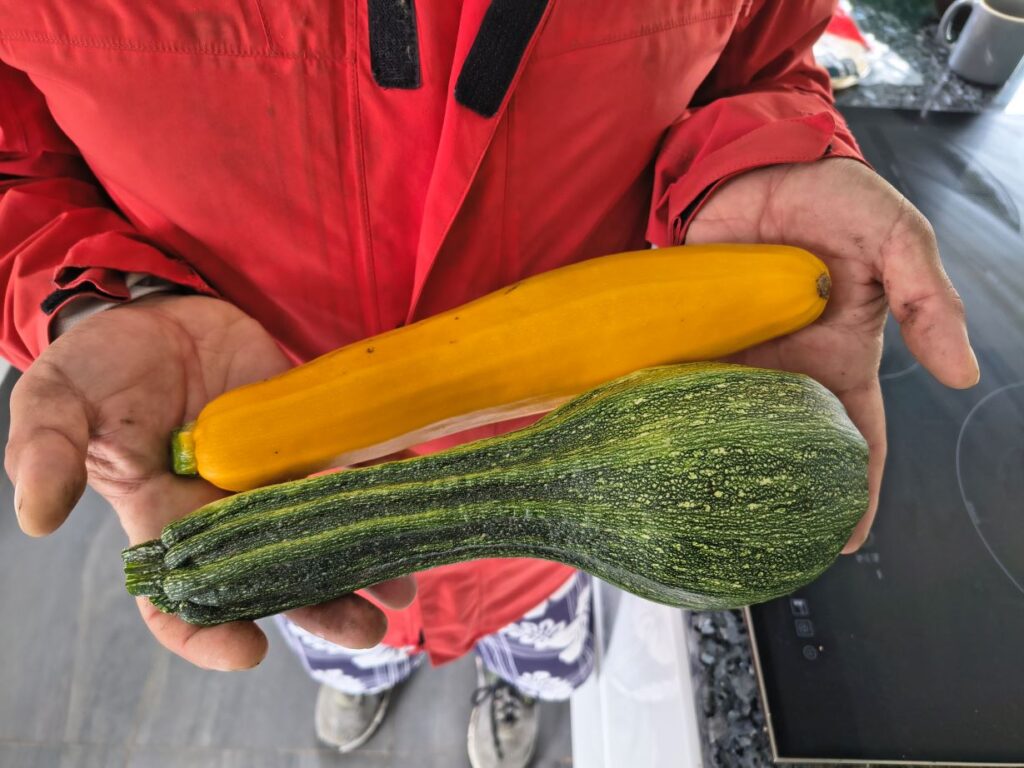 Man in a kitchen with brown skin and wearing orange rain coat holding courgettes, one yellow and one green